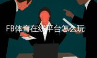 FB体育在线平台怎么玩？新手注册、充值、玩法与安全完整指南