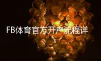 FB体育官方开户流程详解：新手注册、实名认证与常见问题解析