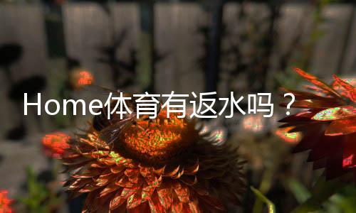 Home体育有返水吗?揭秘返水规则与高额优惠攻略