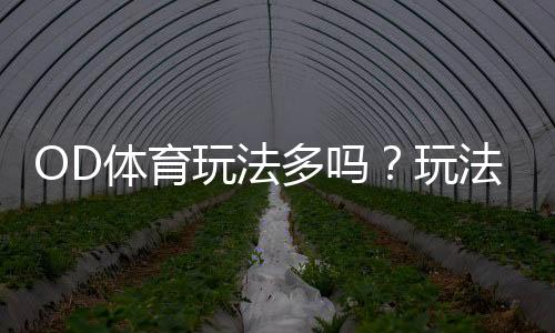 OD体育玩法多吗?玩法种类、规则与新手投注攻略一次看懂
