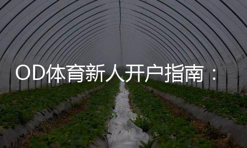 OD体育新人开户指南:注册流程、身份认证与首存优惠新手必看