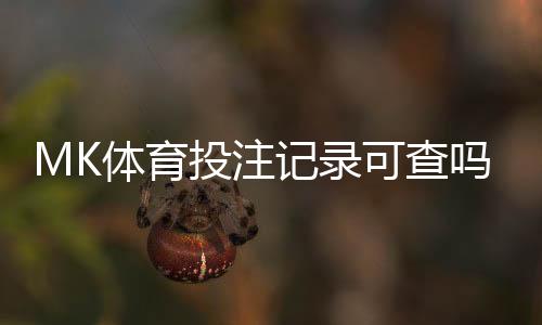 MK体育投注记录可查吗?一文详解查询方法与注意事项