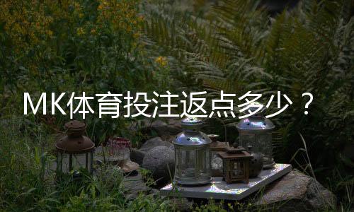 MK体育投注返点多少?高额返点优惠全解析