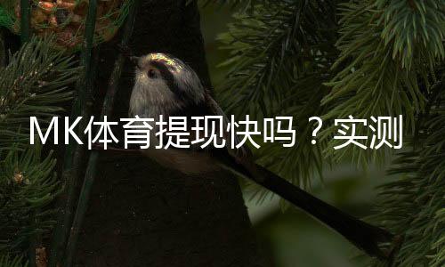 MK体育提现快吗？实测到账速度与提现技巧分享