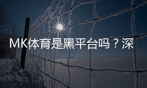 MK体育是黑平台吗？深度解析其安全性及玩家真实评价