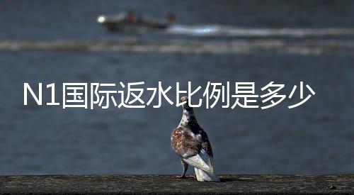N1国际返水比例是多少？新手必看返水计算与领取攻略