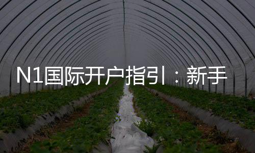 N1国际开户指引:新手注册流程、实名认证与安全充值全攻略