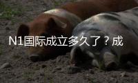 N1国际成立多久了？成立时间、发展历程与信誉全解析