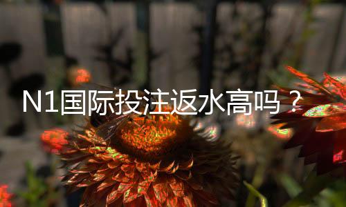 N1国际投注返水高吗?详解返水比例、计算方法与实用省钱技巧