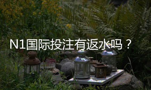 N1国际投注有返水吗?返水比例、计算与领取攻略一次看懂