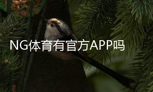 NG体育有官方APP吗?官方版下载安装地址、真假辨别与使用全攻略