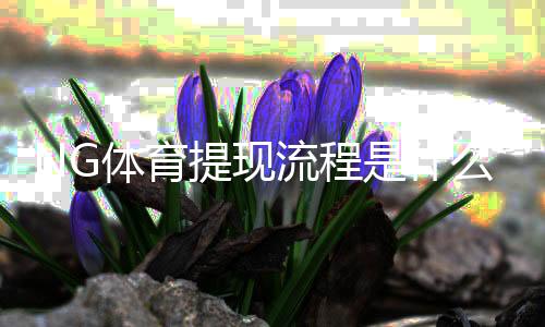 NG体育提现流程是什么?新手提现步骤、到账时间与注意事项一看就懂