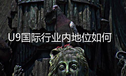 U9国际行业内地位如何?市场份额、竞争优势与未来前景一文看懂