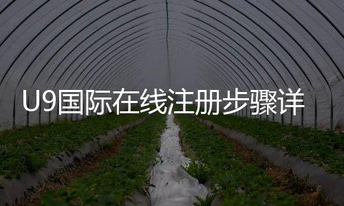 U9国际在线注册步骤详解:手机邮箱快速注册、实名认证与常见问题解决