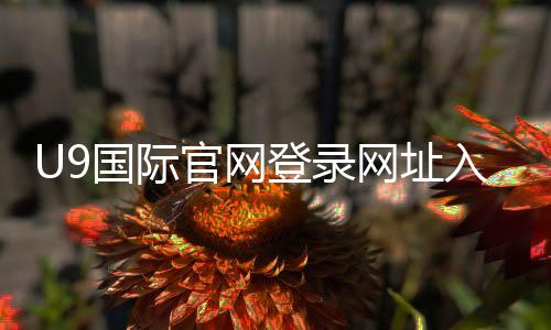 U9国际官网登录网址入口与最新官方域名：登录步骤、账号注册与安全指南