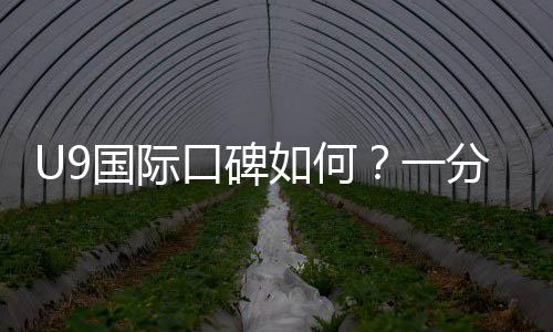 U9国际口碑如何？一分钟看懂真实评价、优缺点与安全性分析
