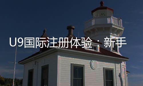 U9国际注册体验：新手注册流程、账号验证与安全注意事项全面解析