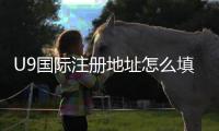 U9国际注册地址怎么填写？新手注册流程、注意事项与常见问题详解