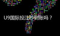 U9国际投注秒到账吗？充值提现到账时间、常见问题与解决方法