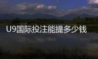 U9国际投注能提多少钱？提现额度、到账时间与手续费全解析