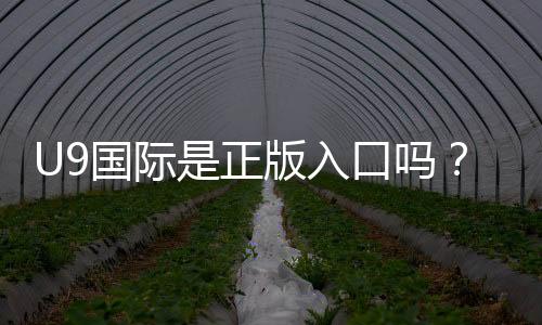 U9国际是正版入口吗?真伪鉴别、风险提示与安全登录指南