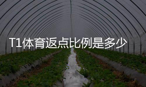 T1体育返点比例是多少？最新返利比例、计算方法与领取注意事项