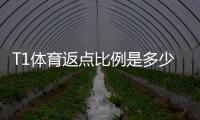 T1体育返点比例是多少？最新返利比例、计算方法与领取注意事项
