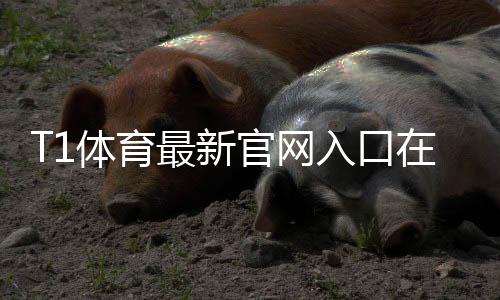 T1体育最新官网入口在哪?官方登录、注册与手机访问全指南