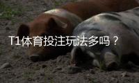 T1体育投注玩法多吗？玩法种类、规则与新手投注攻略一文看懂