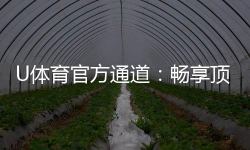 U体育官方通道:畅享顶级赛事投注与电子游艺体验