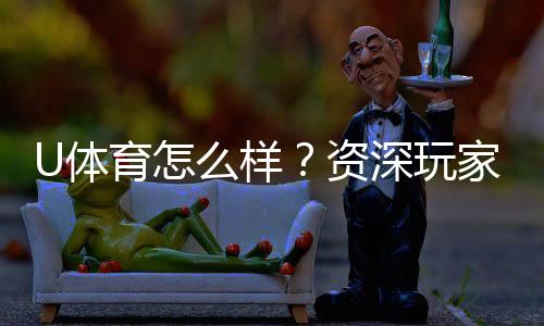 U体育怎么样?资深玩家带你全面评测平台优劣势