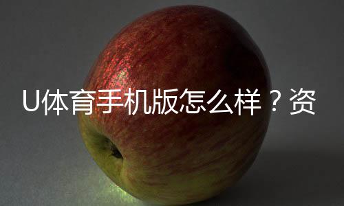 U体育手机版怎么样?资深玩家实测体验与下载指南