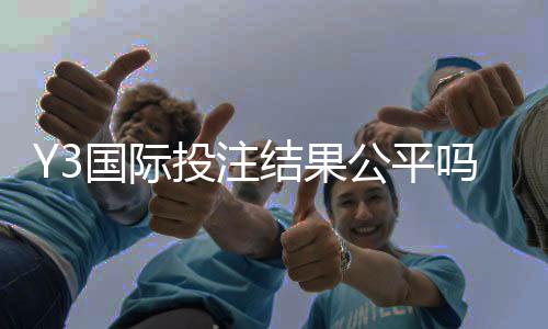 Y3国际投注结果公平吗？公平性详解与用户评测