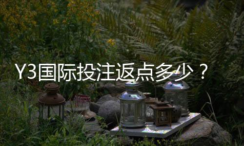 Y3国际投注返点多少?最新返点比例、计算方法与领取攻略