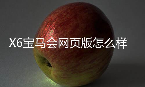 X6宝马会网页版怎么样？资深玩家体验评测与实战技巧分享