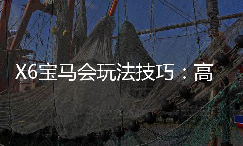 X6宝马会玩法技巧:高手必备的实战秘籍与盈利策略