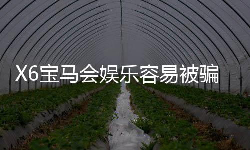 X6宝马会娱乐容易被骗吗？资深玩家揭秘防骗技巧与平台真相