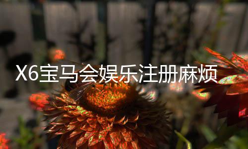 X6宝马会娱乐注册麻烦吗?3分钟快速注册攻略分享