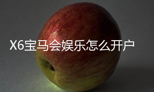 X6宝马会娱乐怎么开户?新手快速注册指南