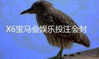 X6宝马会娱乐投注会封号吗？深度解析平台风控规则与防封技巧