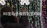 X6宝马会有假冒官网吗？揭秘官网真伪辨别技巧与防骗指南