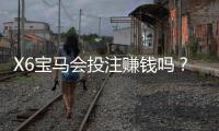 X6宝马会投注赚钱吗？揭秘高胜率玩家的实战技巧与策略