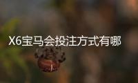 X6宝马会投注方式有哪些？详解热门玩法与技巧