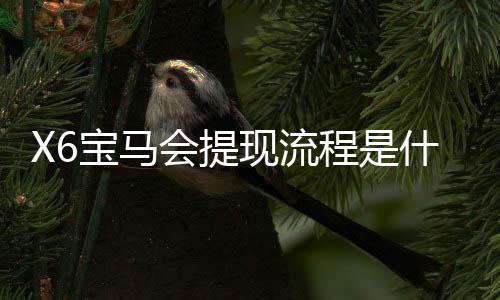 X6宝马会提现流程是什么?手把手教你快速到账技巧