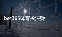 bet365体育投注赚钱吗？盈利可能性、实战策略与风险避坑全面解析