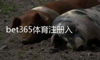 bet365体育注册入口怎么找？新手注册步骤、账户验证与常见问题一站式指南