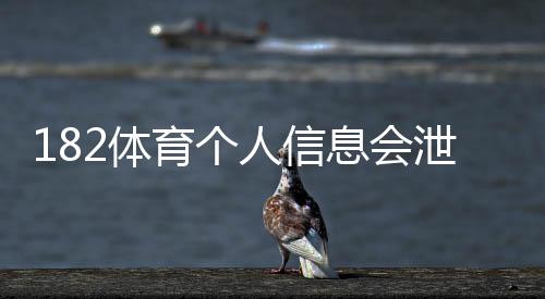 182体育个人信息会泄漏吗？安全性评估、风险真相与防护攻略