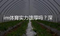 im体育实力雄厚吗？深度解析其平台优势与玩家真实体验