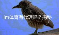 im体育有代理吗？揭秘代理加盟条件与流程