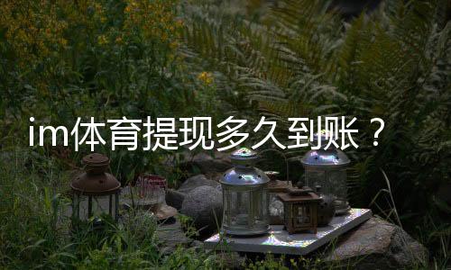 im体育提现多久到账?实测到账时效与提款技巧分享